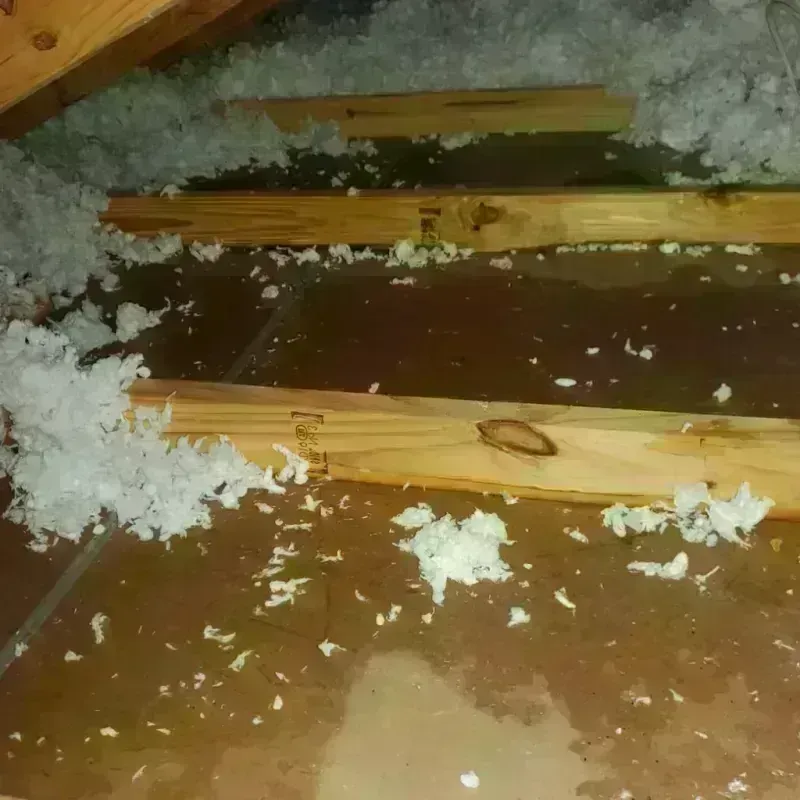 Attic Water Damage in Sherwood, AR